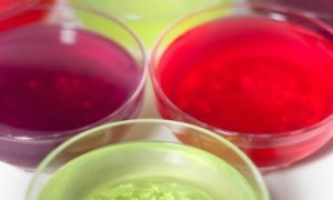 Artesanía para hacer aromatizadores Aromatizadores gratis 300x180 Artesanía para hacer aromatizadores
